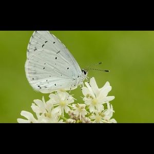 Meet your Posher, Ina